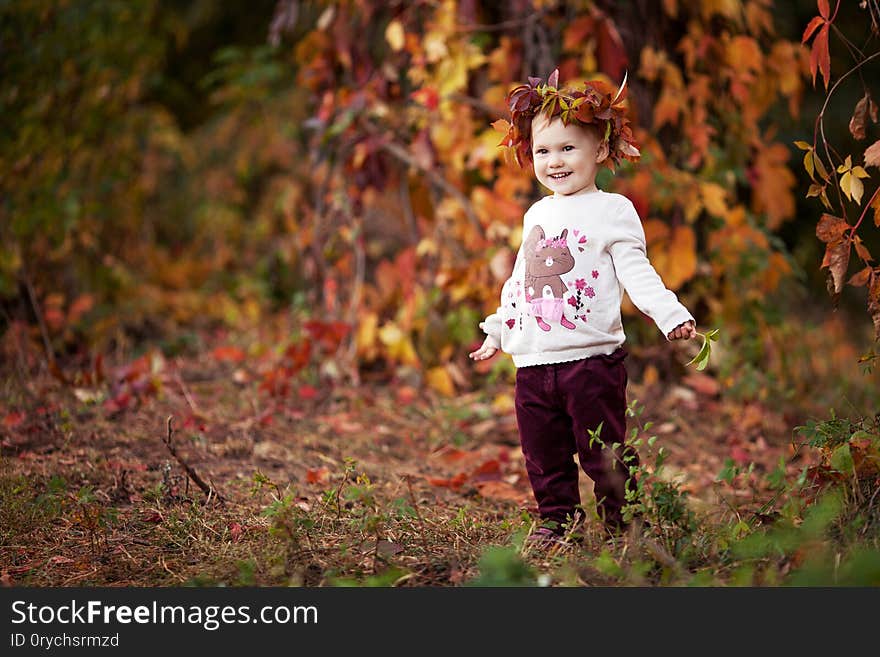 Autumn emotional portrait of little  girl. Pretty little girl with red grape leaves in autumn park. Autumn activities for children