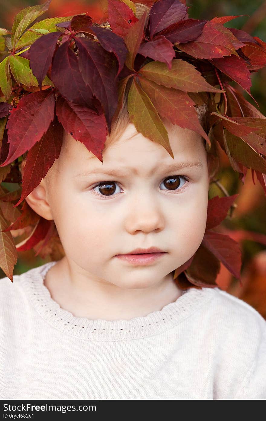 Autumn close up portrait of little  girl. Pretty little girl with red grape leaves in autumn park. Autumn activities for children. Halloween and Thanksgiving time