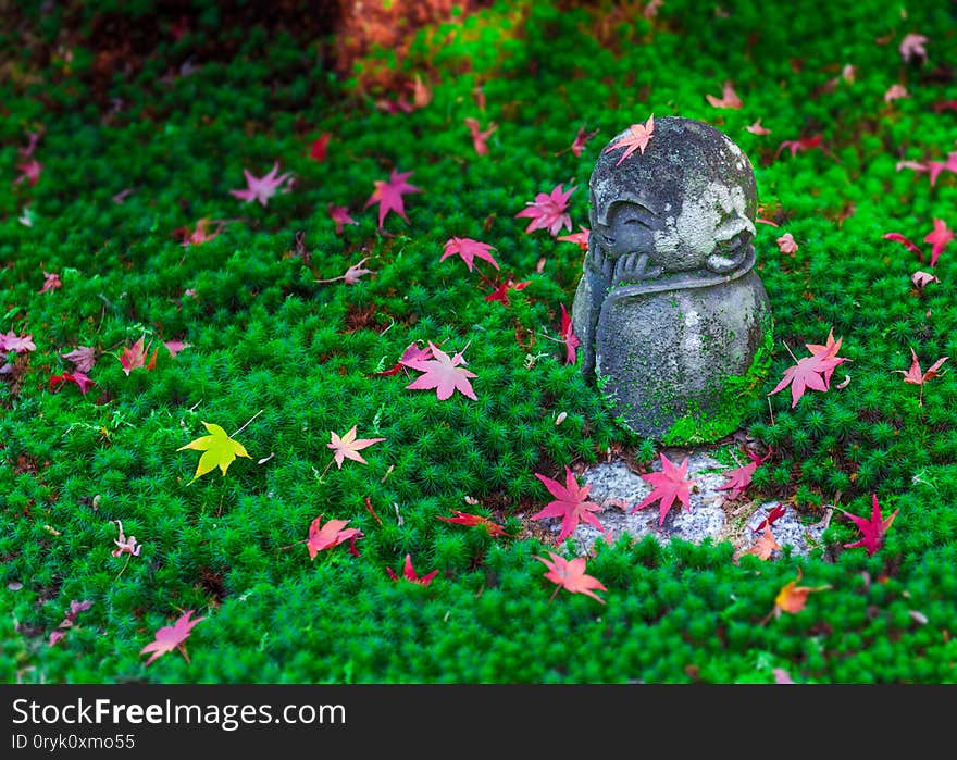 Red Maple leaf on head of Jizo sculpture doll in Japanese Garden, Enkoji Temple, Kyoto, Japan.