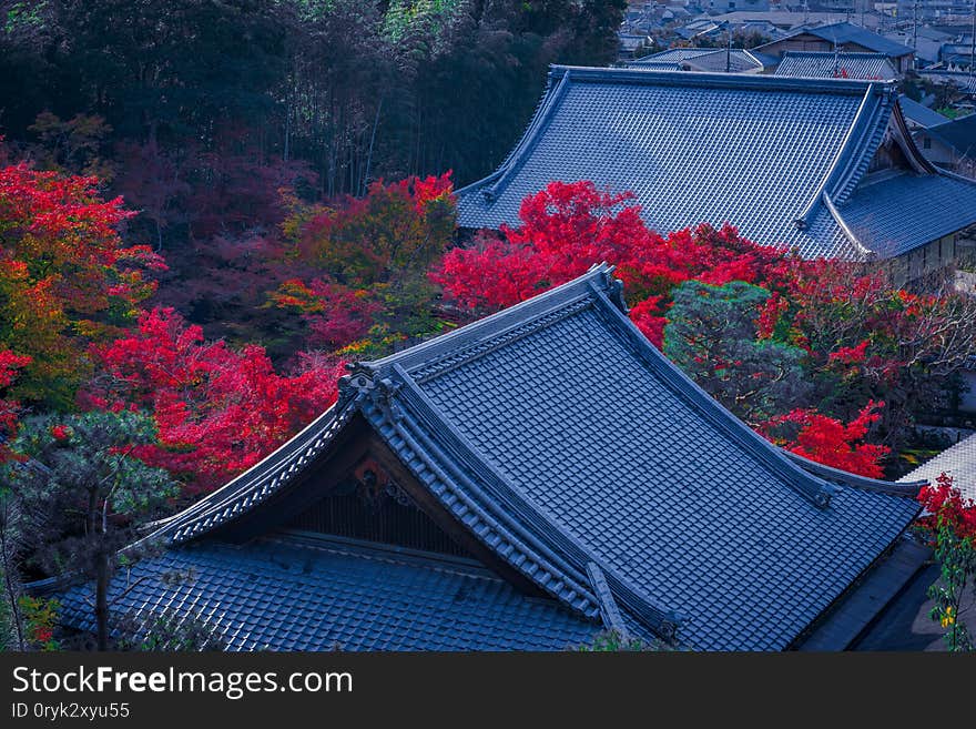 Roof of japanese house with the colorful of maple  at autumn season, traditional cityscape view from enkoji temple in kyoto, Japan.