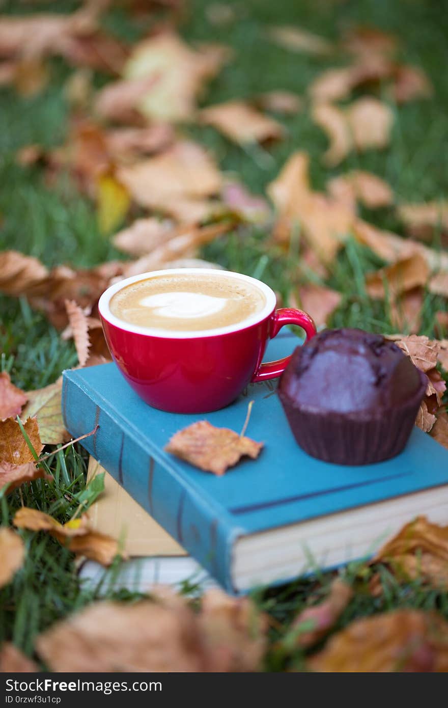 Books and cup of coffee with chocolate Muffins on grass. fall and relax