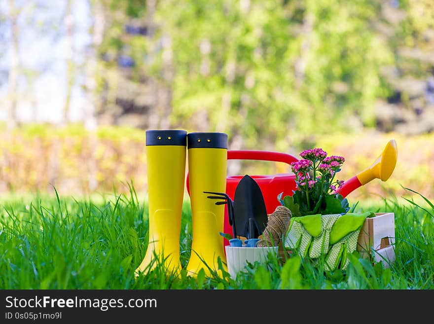 Concept photo tools for working in the garden, objects for spring works close up