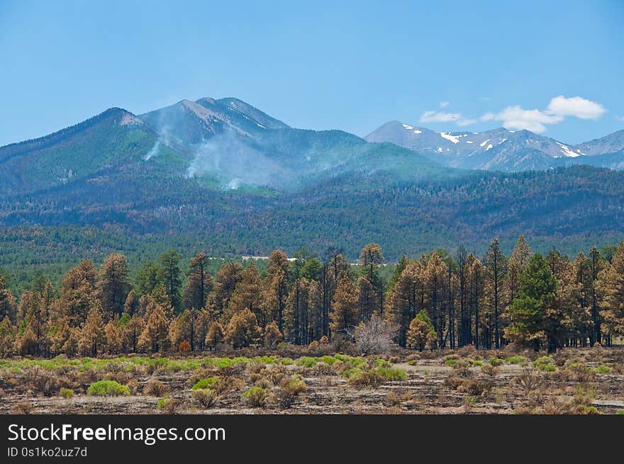 View from Bonito Park, west of Sunset Crater. The Park itself was burned when the fire jumped Hwy 89, and burned through the forest and park. A week after the Schultz Fire began, the wildfire is mostly contained. Clear skies and little smoke provided excellent visibility of the damage to the eastern face of the San Francisco Peaks.