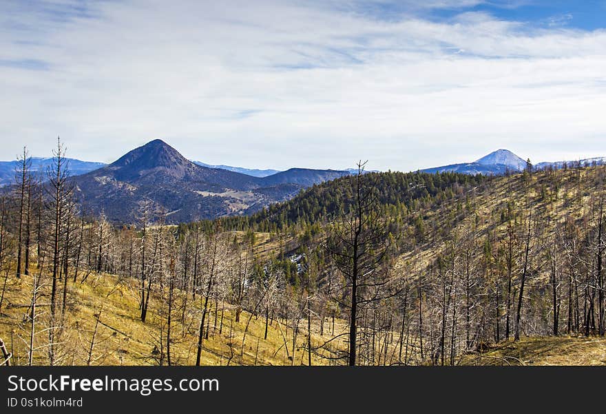 Central Oregon. Central Oregon