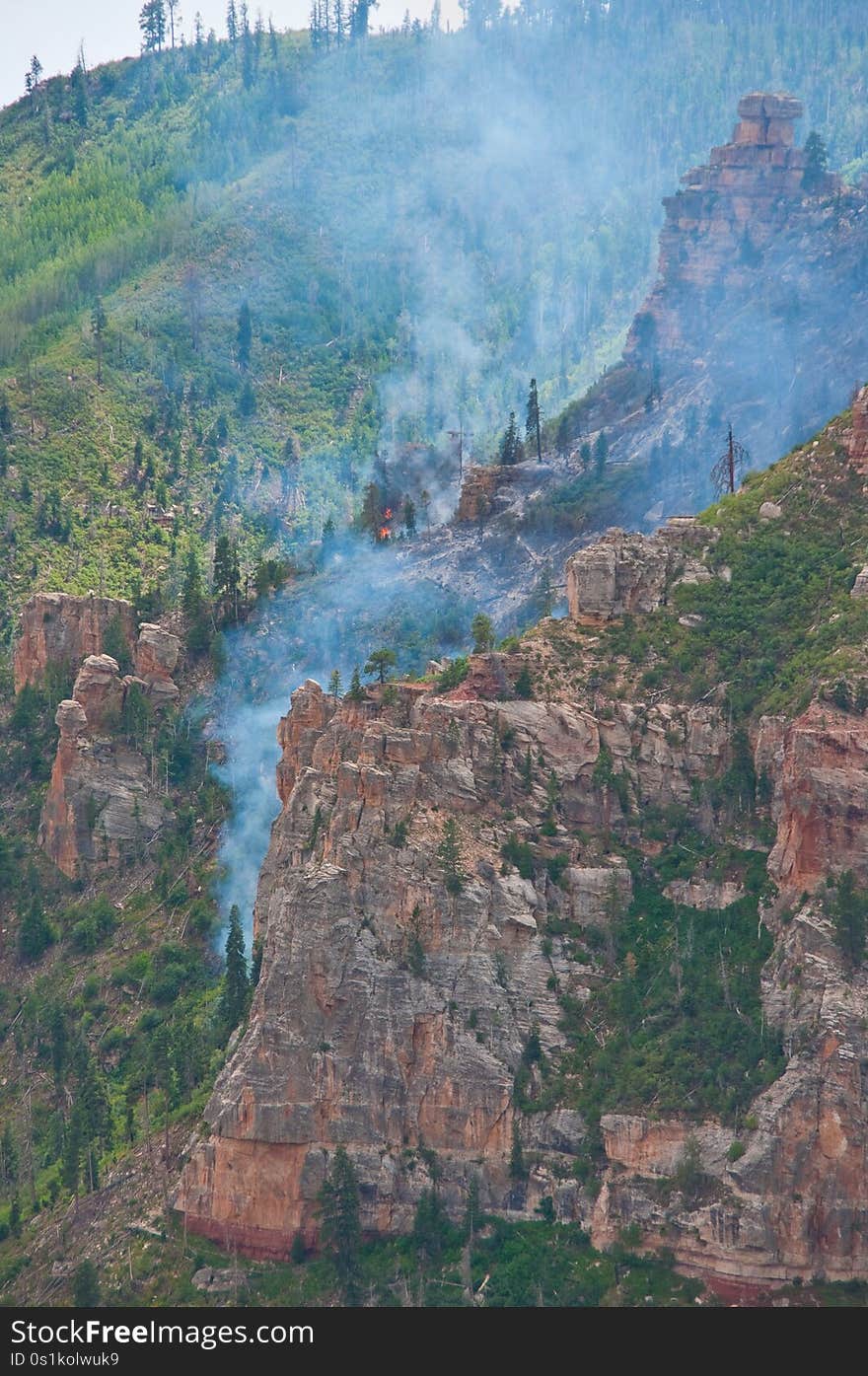 Short hike from the upper end of Saddle Mountain Trail. The trail is located on the North Rim of the Grand Canyon, in the Saddle Mountain Wilderness in the Kaibab National Forest. A fire near Pt. Imperial Trail had that trail closed.