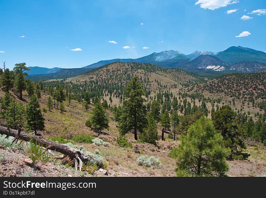 View from the road up Robinson Crater. A week after the Schultz Fire began, the wildfire is mostly contained. Clear skies and little smoke provided excellent visibility of the damage to the eastern face of the San Francisco Peaks.