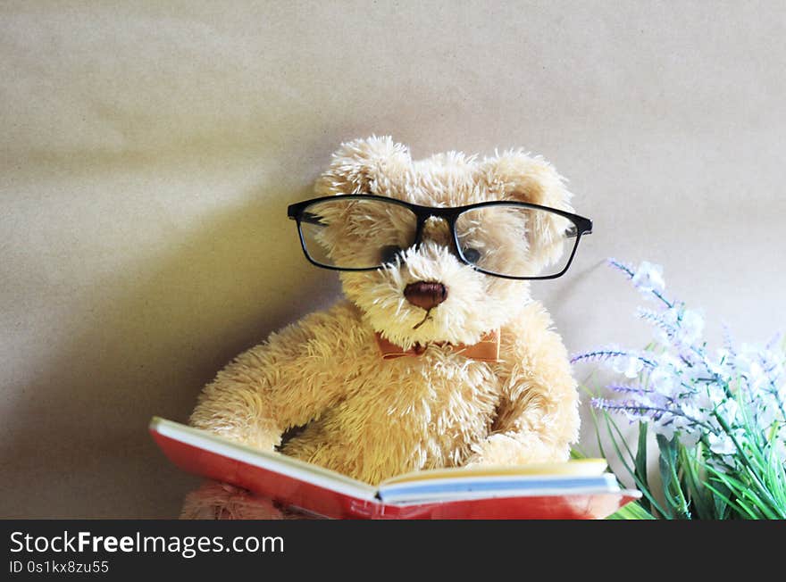 The good reader teddy wearing glasses while reads a book