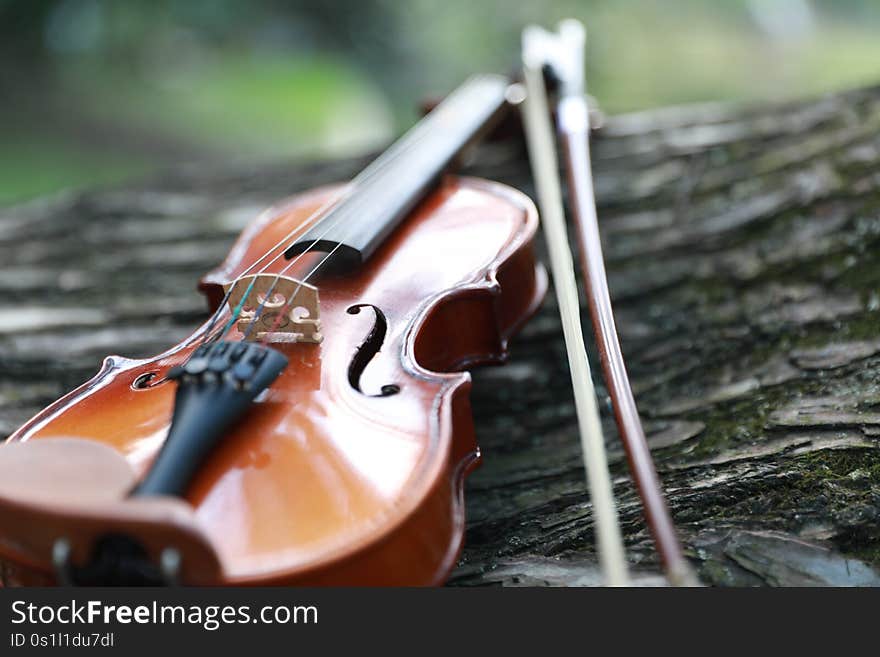 Close-up violin details with bark in outdoor nature as background musical art concept