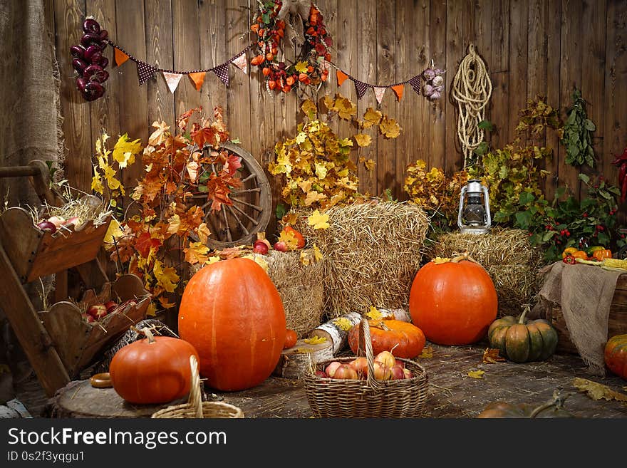 Decoration Autumn Hay Pumpkins And Autumn Gifts