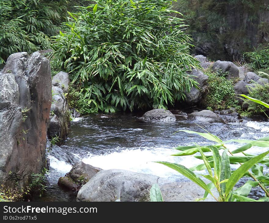 RÃ©union &#x28;French : La RÃ©union, previously ÃŽle Bourbon&#x29; is an island and region of France in the Indian Ocean, east of Madagascar and 175 kilometres &#x28;109 mi&#x29; southwest of Mauritius. As of January 2016, it had a population of 842 767. It is the most prosperous island in the Indian Ocean, having the highest GDP per capita in the region. The island has been inhabited since the 17th century, when people from France, Madagascar and Africa settled there. Slavery was abolished on 20 December 1848 &#x28;a date celebrated yearly on the island&#x29;, after which indentured workers were brought from Tamil Nadu, Southern India, among other places. The island became an overseas department of France in 1946. As elsewhere in France, the official language is French. In addition, the majority of the region&#x27;s population speaks RÃ©union Creole. Administratively, RÃ©union is one of the overseas departments of France. Like the other four overseas departments, it is also one of the 18 regions of France, with the modified status of overseas region, and an integral part of the Republic with the same status as Metropolitan France. RÃ©union is an outermost region of the European Union and, as an overseas department of France, part of the Eurozone. ðŸ‘‘ Senses : ðŸ‘€ Vision ðŸ‘† To Touch ðŸ’ƒ Proprioception ðŸ‘‚ Hearing Equilibrioception ðŸ‘ƒ Smell â™¨ï¸ Thermoception ðŸ‘… Taste âš¡ Intelligences : ï¸ Spatial Intelligence â›¹ï¸ Kinesthetic Body Intelligence ðŸ‘¨â€ðŸ‘©â€ðŸ‘§â€ðŸ‘¦ Interpersonal Intelligence ðŸŒ² Ecologicalist Naturalist Intelligence ï¸ Verbal-linguistic ðŸ”­ Existential Intelligence ðŸ“‹ WHAT : ï¸ eXploration ðŸŒŸ Reunion [La RÃ©union] &#x28;France&#x29; | ðŸŒŒNature ðŸŒŸ Reunion [La RÃ©union] &#x28;France&#x29; ðŸ’« France/Europe World ðŸŒŒ Nature Galaxy âœ¨ eXploration Universe &#x28;ï¸&#x29; ðŸ“ Type : Ground eXploration ðŸŽ¨ Style : eXploration of La RÃ©union ðŸ”Š Language : International &#x28;ðŸ‡¬ðŸ‡§ description in English, but comprehensible by the whole world&#x29; ï¸ You can use your playlists as filters, to find what you&#x27;re looking for exactly : www.youtube.com/channel/UCpvj7oecmX3AsJT6R0JP2pQ/playlists? âš  The items are sorted by the most appropriate categories. But can not be completely exhaustive on social networks. You can use our site or our application. If you want total exhaustiveness and much more. ðŸ“ HOW MUCH : ðŸ‘‘ 8 Senses âš¡ 6 Intelligences WHO : ï¸ Picture by LG &#x28;Samsung Galaxy S7&#x29; ðŸ“¡ Posted by LG ðŸ“¼ Video made by LG &#x28;Windows Movie Maker 2017&#x29; Â© Etoile Copyright âš  The description may no longer be up to date. Due to human discoveries and improvements. Pay attention to the date of publication and creation. Even works of art suffer the outrages of time â“ WHY : To eXplore La RÃ©union ðŸ“ WHERE : La RÃ©union &#x28;ðŸ‡«ðŸ‡· France&#x29; ðŸ•“ WHEN : July 2014 ðŸ‘‰ Follow us : ðŸ’¥ Facebook : www.facebook.com/EXploration-160662074522859/ ðŸ’¥ Instagram : www.instagram.com/explorationetoile/ ðŸ’¥ Flickr : www.flickr.com/people/explorationetoile/ ðŸ’¥ Dailymotion : www.dailymotion.com/explorationetoile ðŸ’¥ Youtube : www.youtube.com/channel/UCpvj7oecmX3AsJT6R0JP2pQ? ðŸ’¥ Tumblr : explorationetoile.tumblr.com/ ðŸ’¥ Pinterest : www.pinterest.fr/eXplorationEtoile/ ðŸ’¥ Google + : plus.google.com/u/0/b/103663921505133236472/1036639215051... ðŸ’¥ Twitter : twitter.com/eXplorationETL ðŸ’Œ Contact :