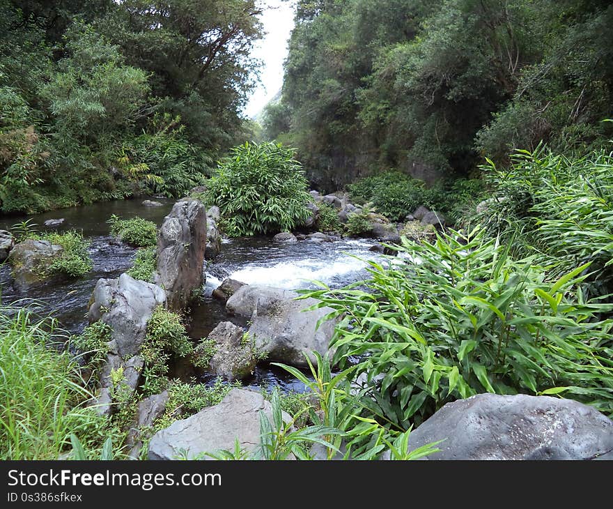 Réunion &#x28;French : La Réunion, previously Île Bourbon&#x29; is an island and region of France in the Indian Ocean, east of Madagascar and 175 kilometres &#x28;109 mi&#x29; southwest of Mauritius. As of January 2016, it had a population of 842 767. It is the most prosperous island in the Indian Ocean, having the highest GDP per capita in the region. The island has been inhabited since the 17th century, when people from France, Madagascar and Africa settled there. Slavery was abolished on 20 December 1848 &#x28;a date celebrated yearly on the island&#x29;, after which indentured workers were brought from Tamil Nadu, Southern India, among other places. The island became an overseas department of France in 1946. As elsewhere in France, the official language is French. In addition, the majority of the region&#x27;s population speaks Réunion Creole. Administratively, Réunion is one of the overseas departments of France. Like the other four overseas departments, it is also one of the 18 regions of France, with the modified status of overseas region, and an integral part of the Republic with the same status as Metropolitan France. Réunion is an outermost region of the European Union and, as an overseas department of France, part of the Eurozone. 👑 Senses : 👀 Vision 👆 To Touch 💃 Proprioception 👂 Hearing Equilibrioception 👃 Smell ♨️ Thermoception 👅 Taste ⚡ Intelligences : ️ Spatial Intelligence ⛹️ Kinesthetic Body Intelligence 👨‍👩‍👧‍👦 Interpersonal Intelligence 🌲 Ecologicalist Naturalist Intelligence ️ Verbal-linguistic 🔭 Existential Intelligence 📋 WHAT : ️ eXploration 🌟 Reunion [La Réunion] &#x28;France&#x29; | 🌌Nature 🌟 Reunion [La Réunion] &#x28;France&#x29; 💫 France/Europe World 🌌 Nature Galaxy ✨ eXploration Universe &#x28;️&#x29; 📝 Type : Ground eXploration 🎨 Style : eXploration of La Réunion 🔊 Language : International &#x28;🇬🇧 description in English, but comprehensible by the whole world&#x29; ️ You can use your playlists as filters, to find what you&#x27;re looking for exactly : www.youtube.com/channel/UCpvj7oecmX3AsJT6R0JP2pQ/playlists? ⚠ The items are sorted by the most appropriate categories. But can not be completely exhaustive on social networks. You can use our site or our application. If you want total exhaustiveness and much more. 📏 HOW MUCH : 👑 8 Senses ⚡ 6 Intelligences WHO : ️ Picture by LG &#x28;Samsung Galaxy S7&#x29; 📡 Posted by LG 📼 Video made by LG &#x28;Windows Movie Maker 2017&#x29; © Etoile Copyright ⚠ The description may no longer be up to date. Due to human discoveries and improvements. Pay attention to the date of publication and creation. Even works of art suffer the outrages of time ❓ WHY : To eXplore La Réunion 📍 WHERE : La Réunion &#x28;🇫🇷 France&#x29; 🕓 WHEN : July 2014 👉 Follow us : 💥 Facebook : www.facebook.com/EXploration-160662074522859/ 💥 Instagram : www.instagram.com/explorationetoile/ 💥 Flickr : www.flickr.com/people/explorationetoile/ 💥 Dailymotion : www.dailymotion.com/explorationetoile 💥 Youtube : www.youtube.com/channel/UCpvj7oecmX3AsJT6R0JP2pQ? 💥 Tumblr : explorationetoile.tumblr.com/ 💥 Pinterest : www.pinterest.fr/eXplorationEtoile/ 💥 Google + : plus.google.com/u/0/b/103663921505133236472/1036639215051... 💥 Twitter : twitter.com/eXplorationETL 💌 Contact :