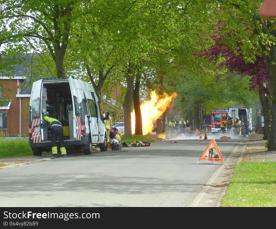 Motor vehicle, Tree, Transport, Asphalt, Neighbourhood, Mode of transport