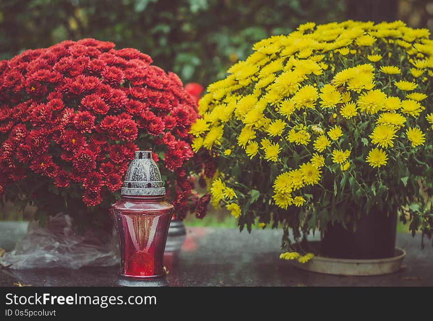 Tombstones decorated with colorful seasonal chrysanthemum flowers in cemetery during religious christian traditional autumnal event. Tombstones decorated with colorful seasonal chrysanthemum flowers in cemetery during religious christian traditional autumnal event