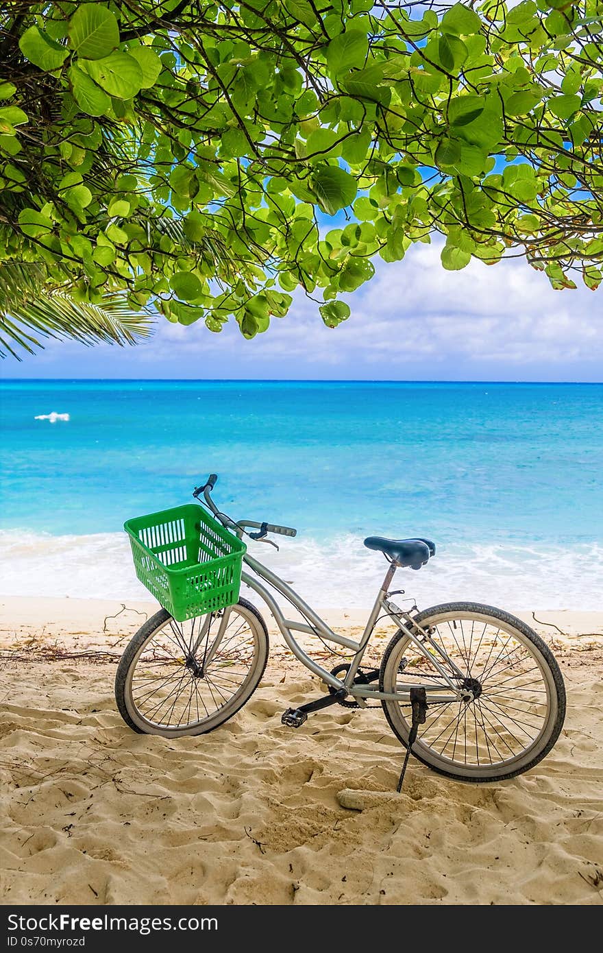 Lonely vintage bicycle on the tropical  sandy beach by a palm tree with sky and calm sea at background, vertical composition.