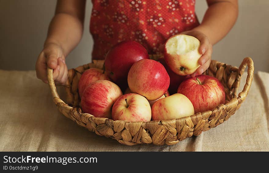 A child holds a wicker basket full of harvested apples. Autumn is the time to harvest. Natural products. Green crop
