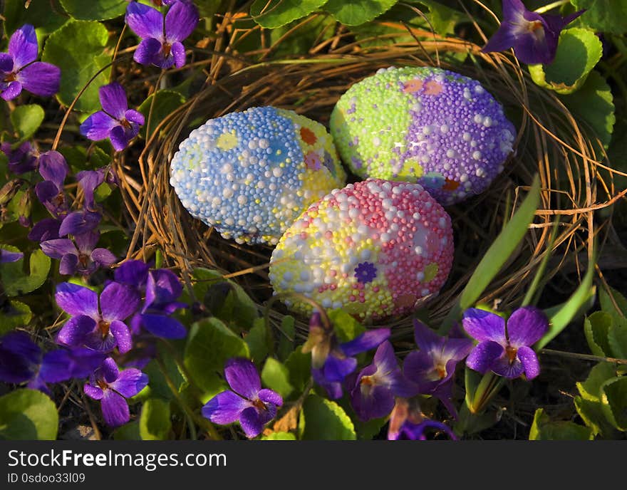 Easter eggs in the nest among violets. Easter eggs in the nest among violets