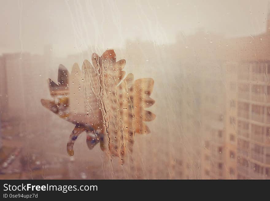 Autumn maple leaf is painted on the wet misted glass of a window in the city on yellow background. Autumn maple leaf is painted on the wet misted glass of a window in the city on yellow background