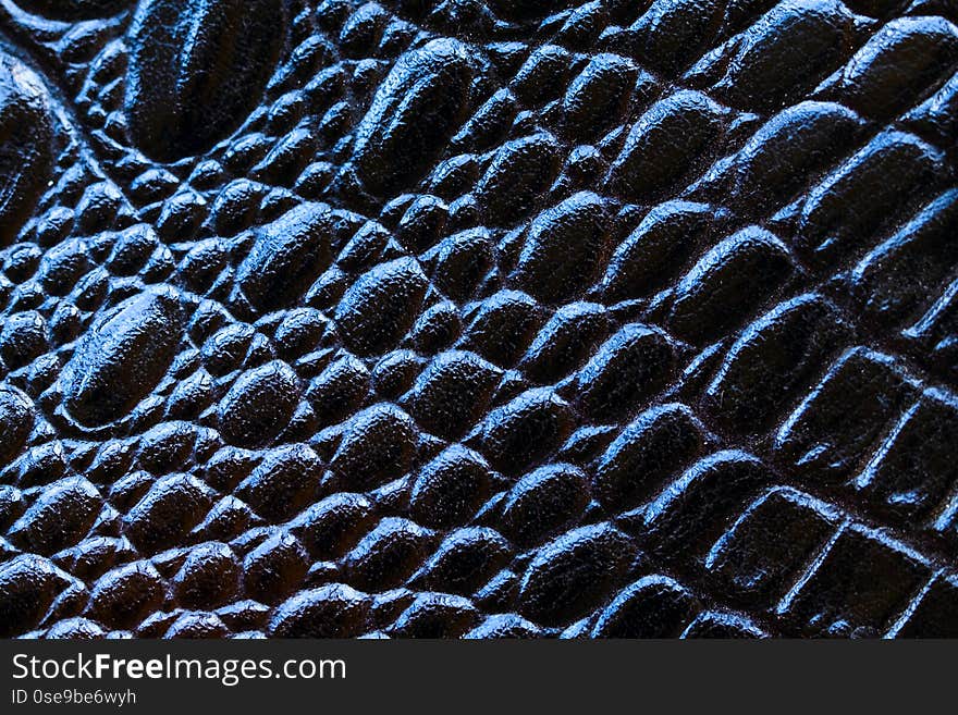 Black crocodile skin closeup. Copy space. Macro shot.