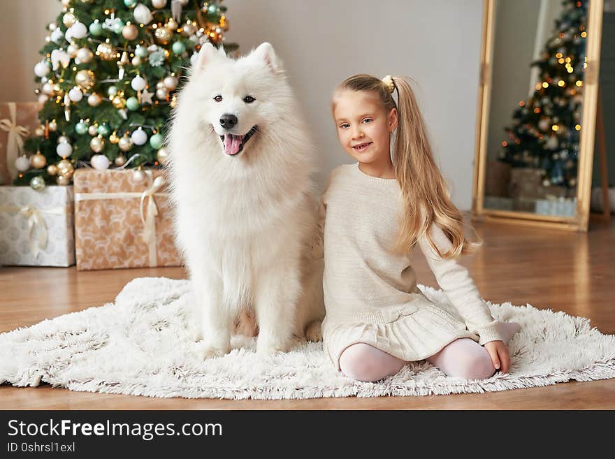 Girl with a dog near the Christmas tree on the Christmas background