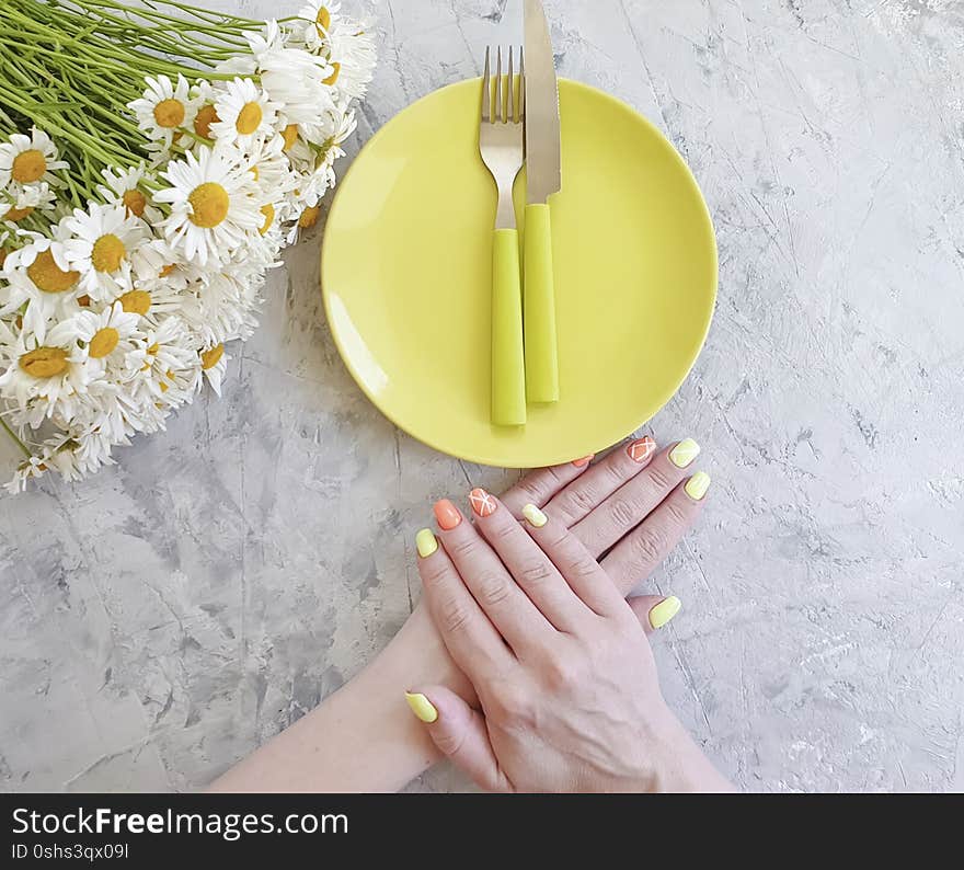 Female hands plate daisy flower on a gray concrete background menu. Female hands plate daisy flower on a gray concrete background menu