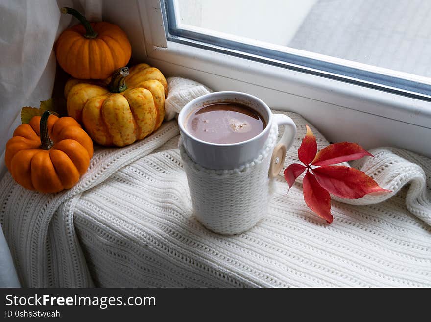 Fall cup of chocolate on windowsil, autumn view in background. Fall cup of chocolate on windowsil, autumn view in background