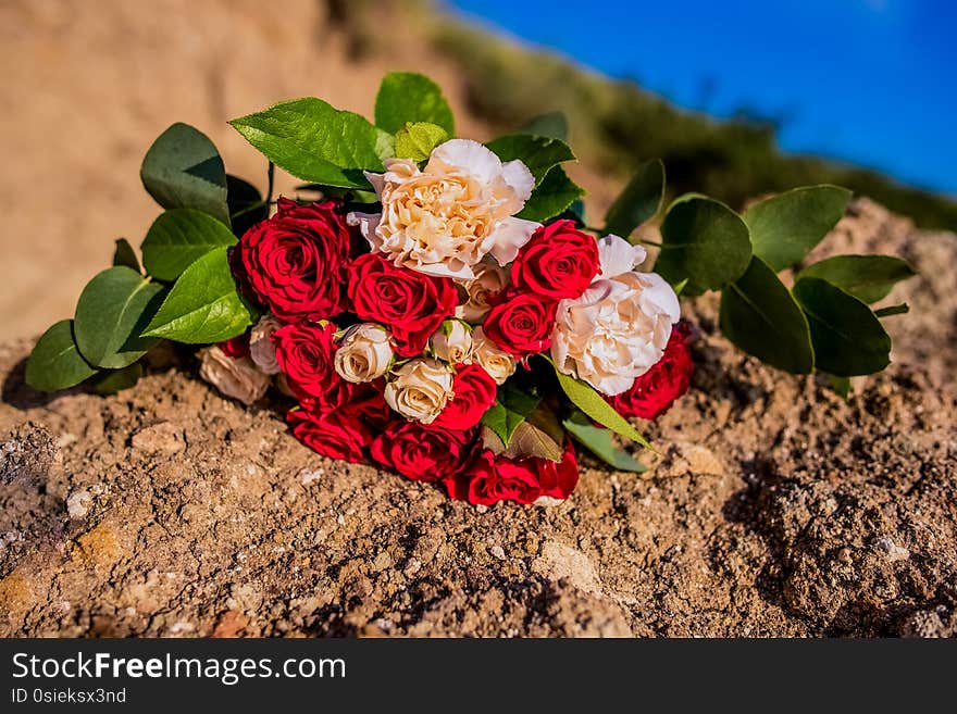 A wonderful bouquet of flowers. Every morning, admire the beautiful flowers. Each time they cheer up.