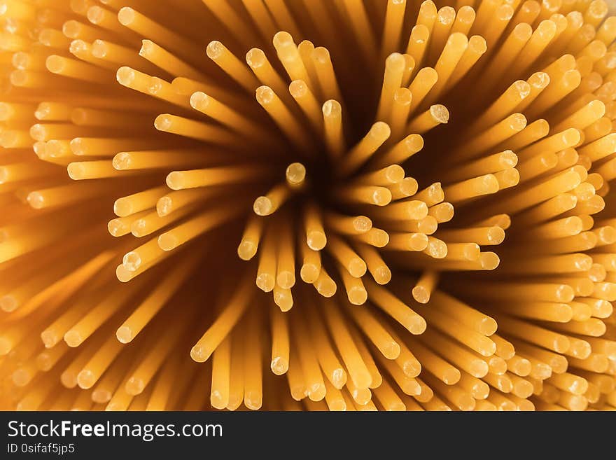 Spiral of Spaghetti in Close-up