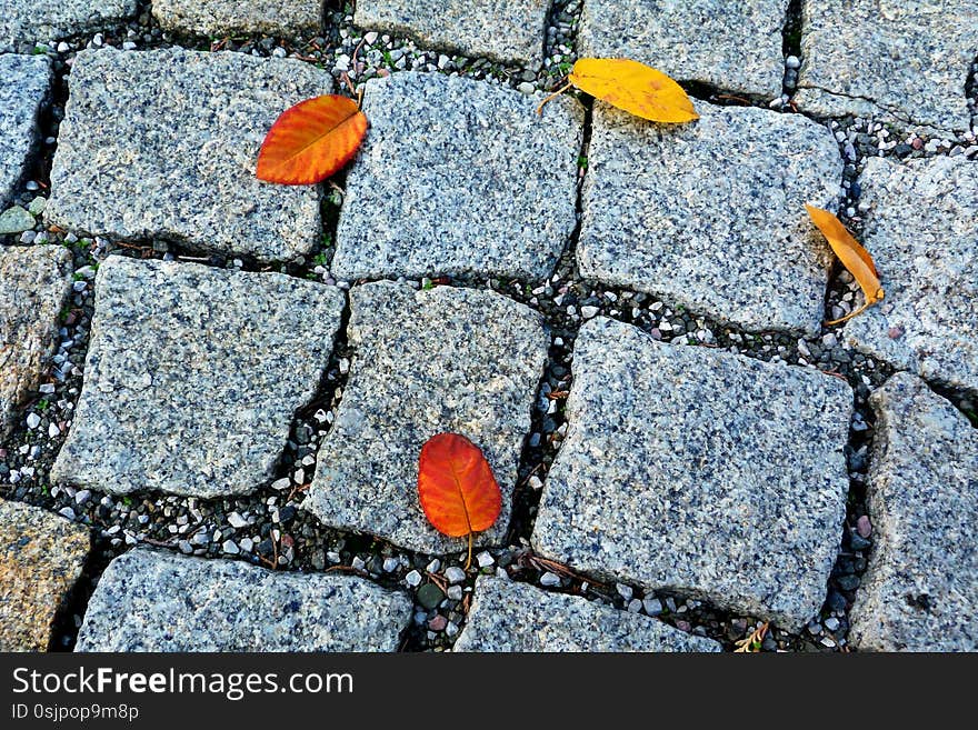 Textured rough rustic gray cube quartz stone pavement abstract. square shapes loosely set in crushed limestone base in circular fashion. street and walkway paving design concept. yellow and red fall leaves