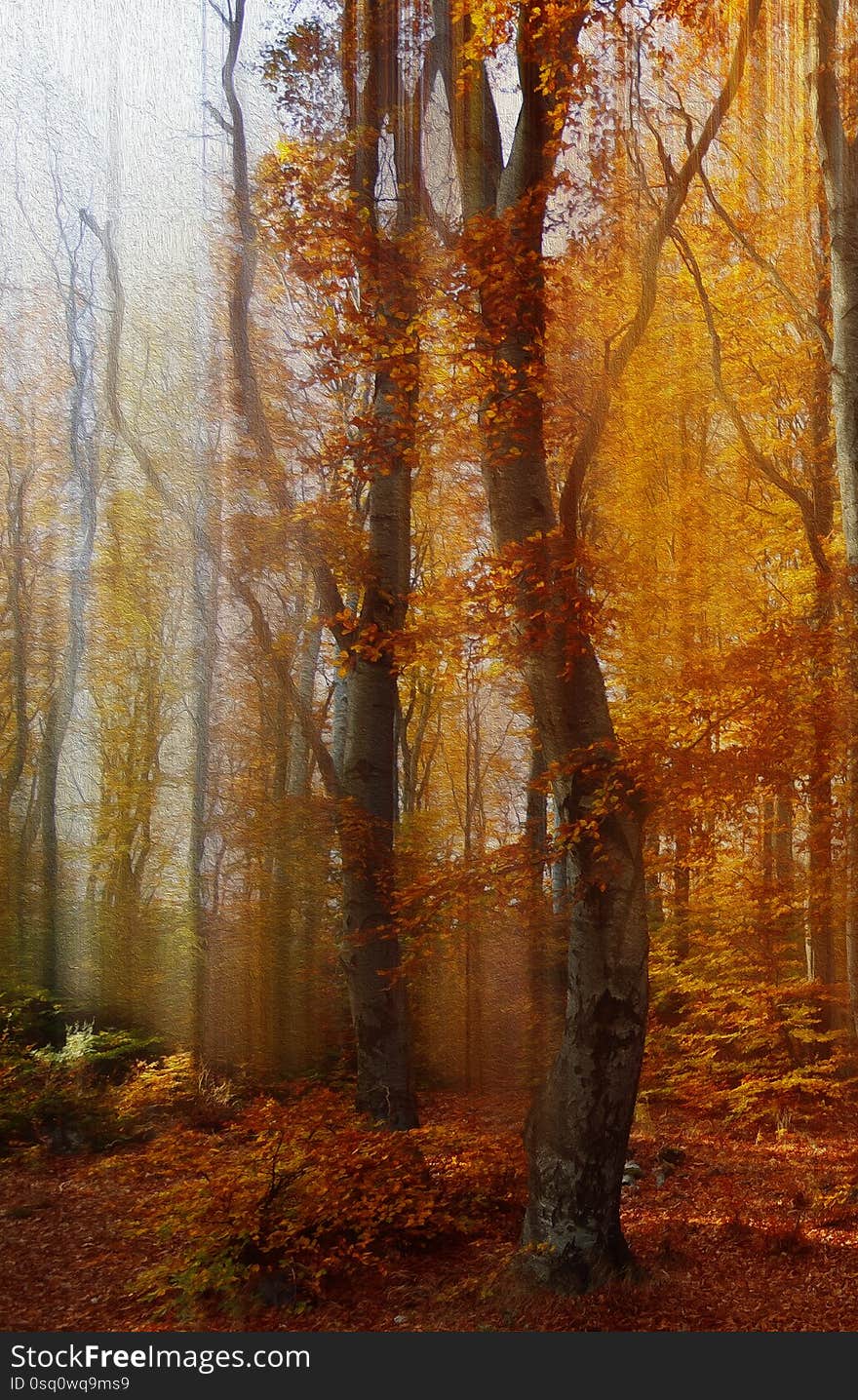 Incredibly beautiful Nature.Fantasy design.Modern Art. Magic Artistic Wallpaper.Dream, line.Background, colorful.Watercolor illustration. Background for relax.Web Banner .Abstract nature background.Beauty in Nature.Pure,clean.Plant,ecology.Yellow and Orange Color.Amazing Autumnal Photo.Fresh,freshness.Softness,soft.Creative Landscape.Colorful Autumn Landscape Scene in Vintage Tones.Autumn in the Forest.Fall Leaves.Autumn landscape - yellowed autumn trees and fallen autumn leaves.Textured Background. Incredibly beautiful Nature.Fantasy design.Modern Art. Magic Artistic Wallpaper.Dream, line.Background, colorful.Watercolor illustration. Background for relax.Web Banner .Abstract nature background.Beauty in Nature.Pure,clean.Plant,ecology.Yellow and Orange Color.Amazing Autumnal Photo.Fresh,freshness.Softness,soft.Creative Landscape.Colorful Autumn Landscape Scene in Vintage Tones.Autumn in the Forest.Fall Leaves.Autumn landscape - yellowed autumn trees and fallen autumn leaves.Textured Background.