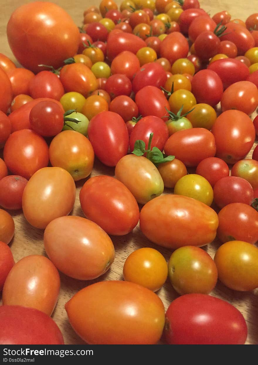 Garden Grown Tomatoes