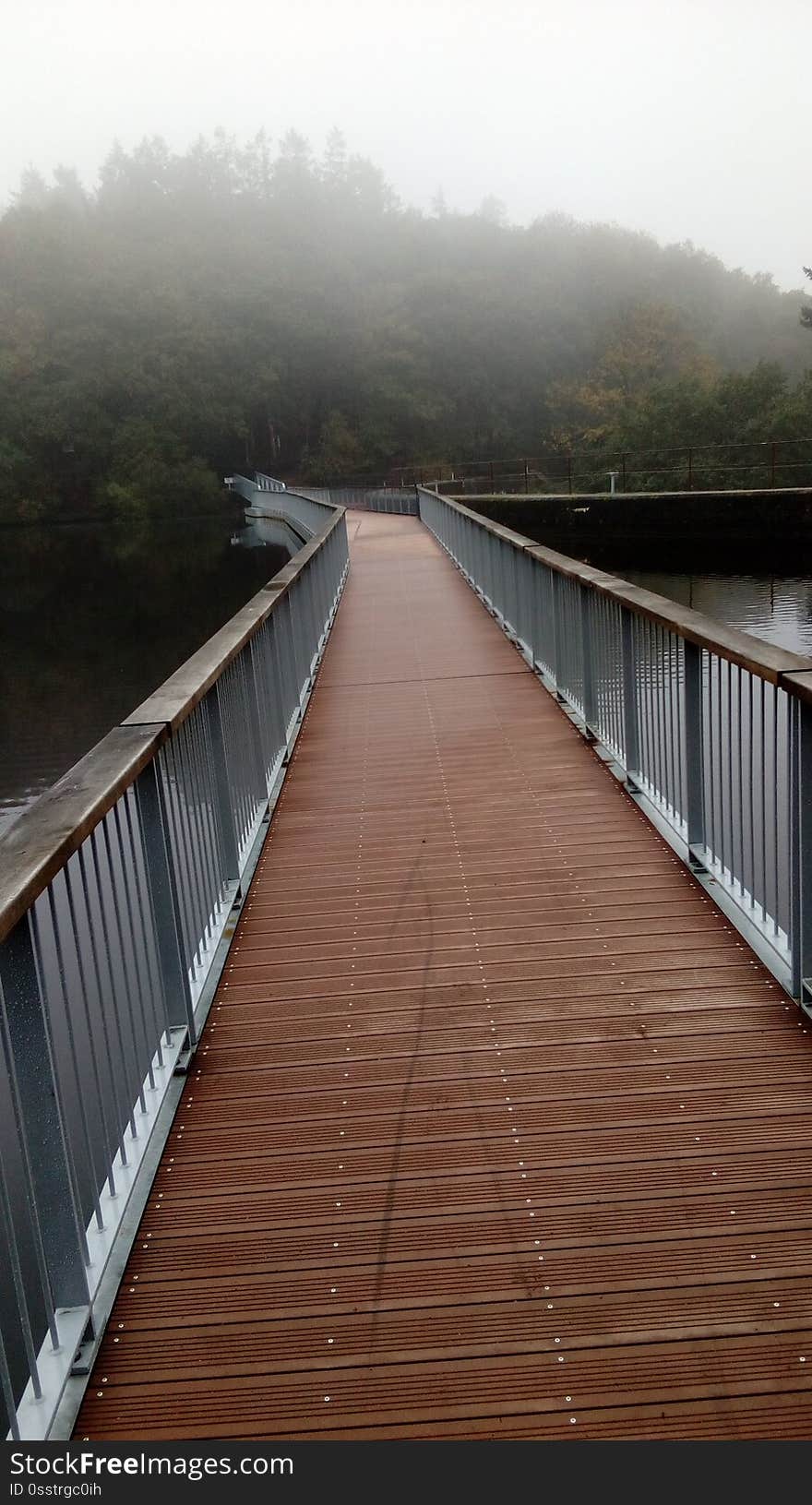 Footbridge, path of life, forest, autumn, breathe life, lake, pond, landscape, gray and silver sky.