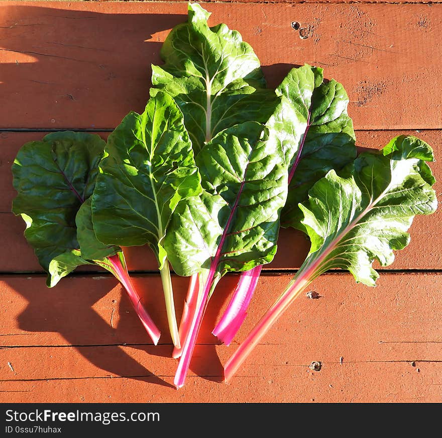 Swiss chard leaves