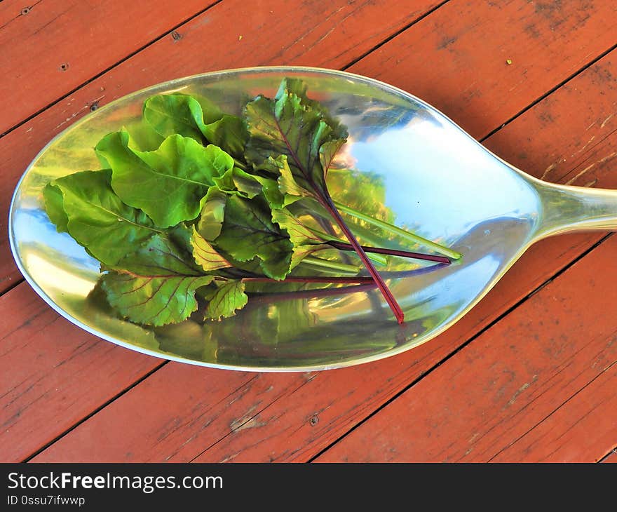 A spoonful of fresh beet greens