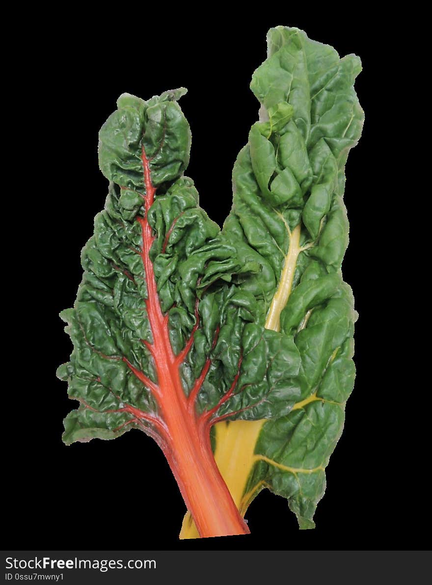 Rainbow Chard