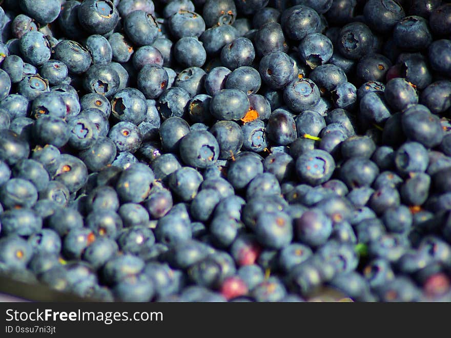 July 17, 2010 Photo used in blog post, Bananas and Blueberries. July 17, 2010 Photo used in blog post, Bananas and Blueberries