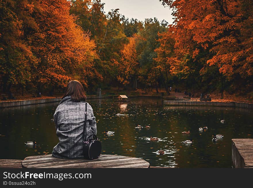 Back view of woman sitting on old wooden pier over calm pond in the park.