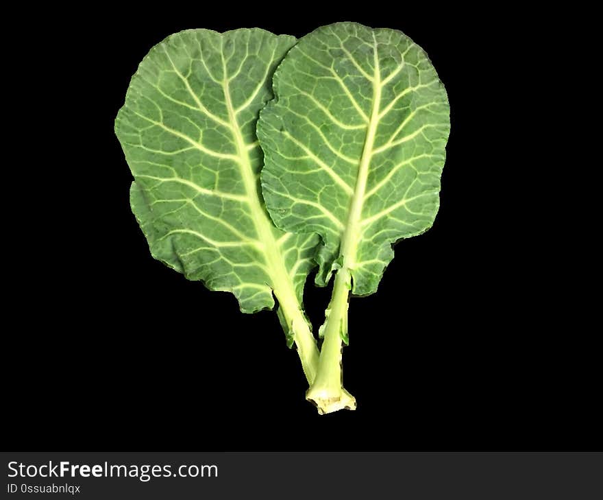 Collards