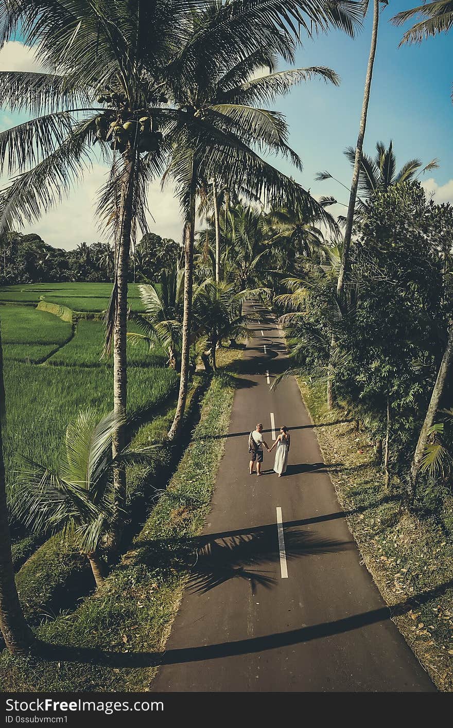 Aerial shot of young couple walking among coconut palm trees. Bali island. Indonesia.