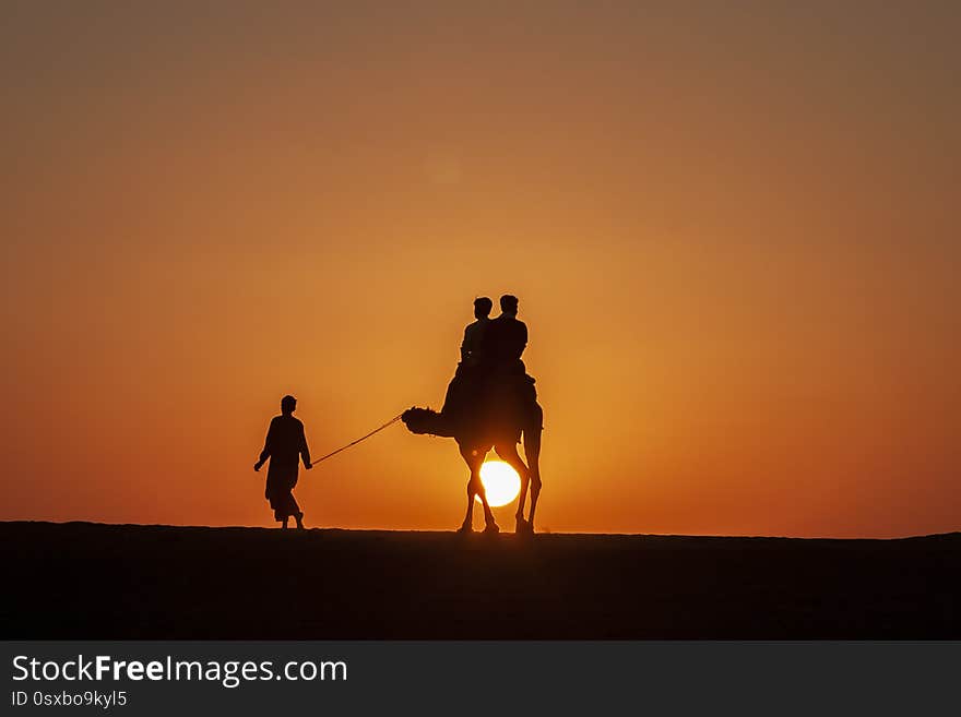 Going home on camels at sunset in rajastan thar desert at festival time