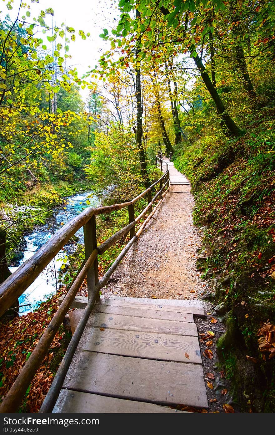 Beautiful famous Vintgar Gorge near Bled, Slovenia