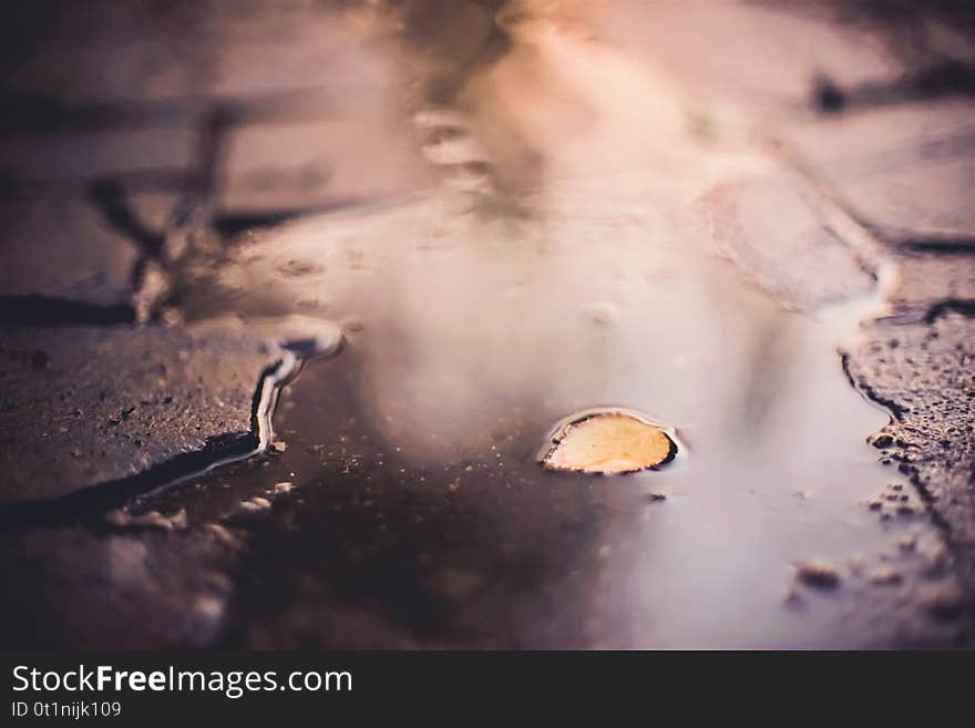 Puddle with leaf on a stone road, reflection of light in water