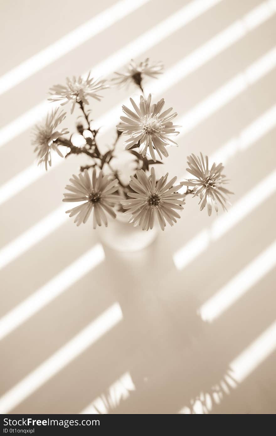 small bouquet of chrysanthemums on the windowsill, sepia photo.