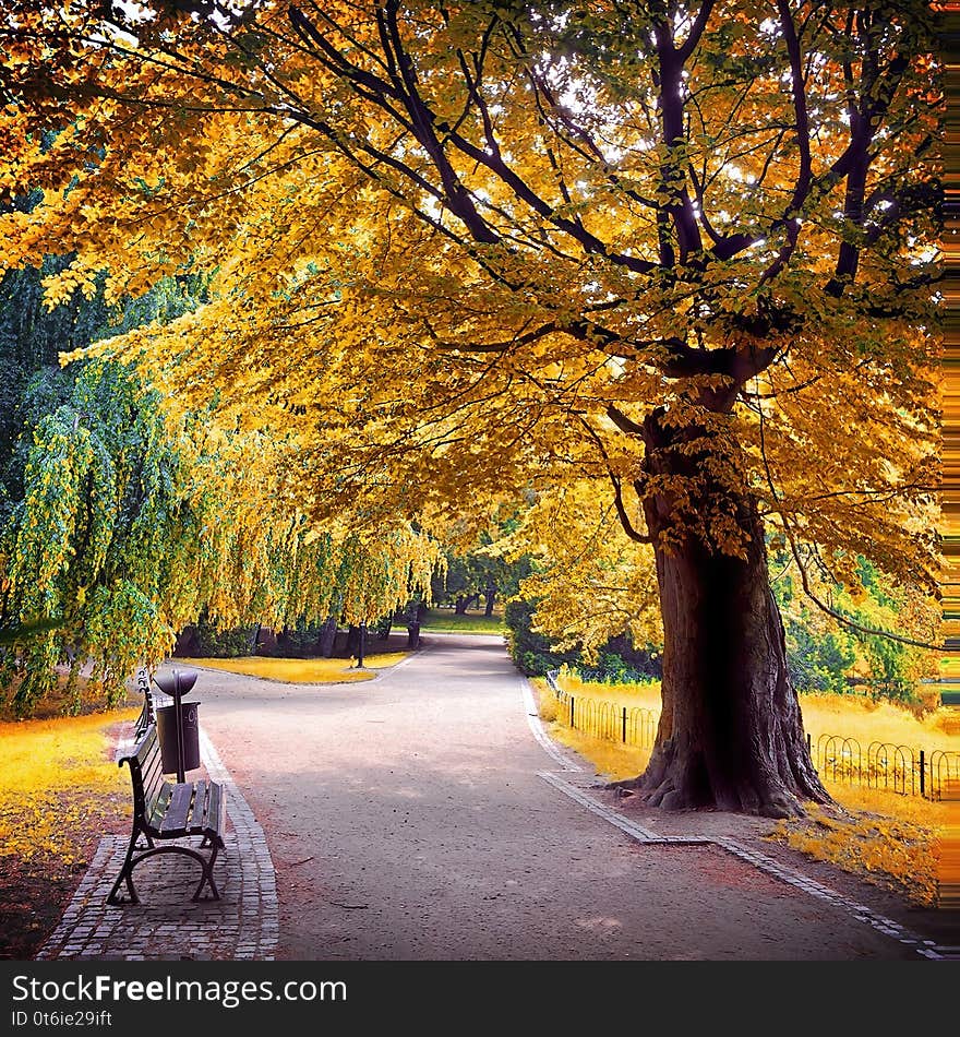 Infrared view of outdoor public park