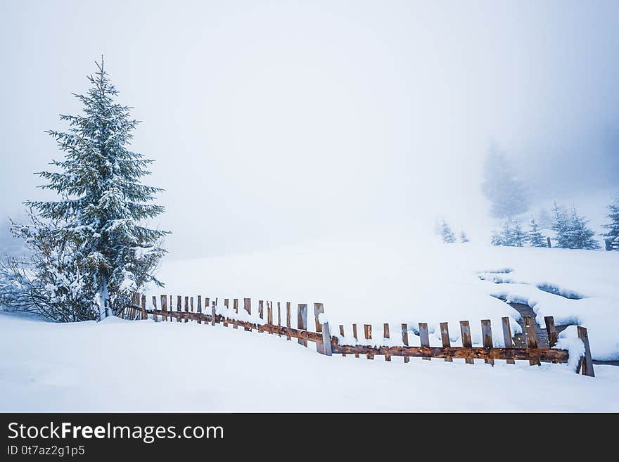 Beautiful panorama of fences peeping out from under high snowdrifts against a background of tall snowy fir trees in fog. The concept of suburban northern European nature