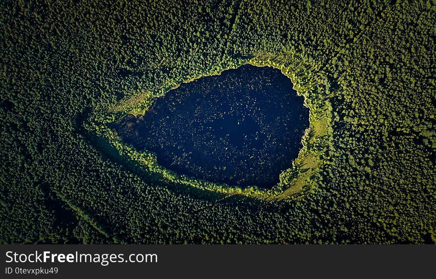 Photo of forest lake in the form of drops.