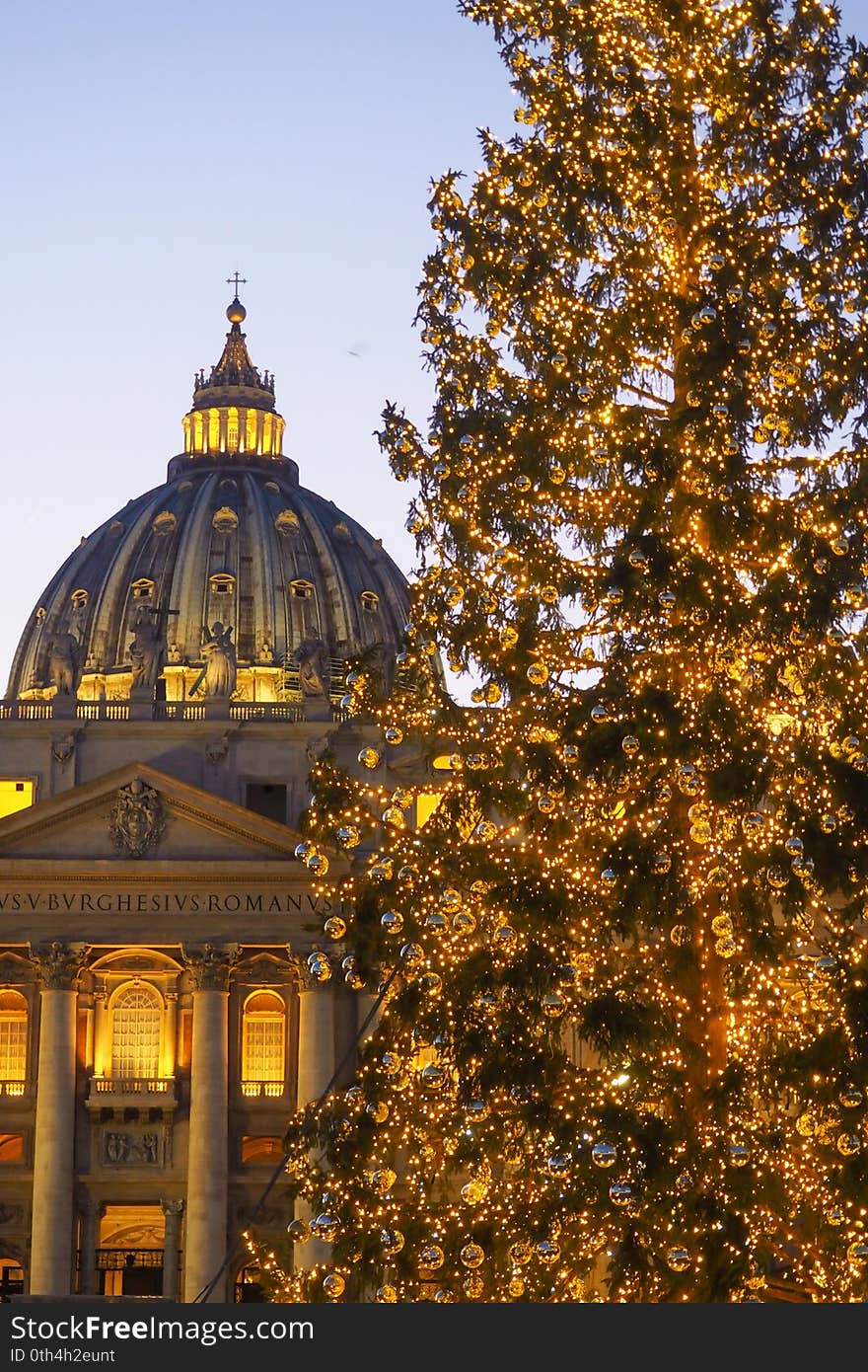 Christmas Tree in St Peter`s Square in the Vatican City