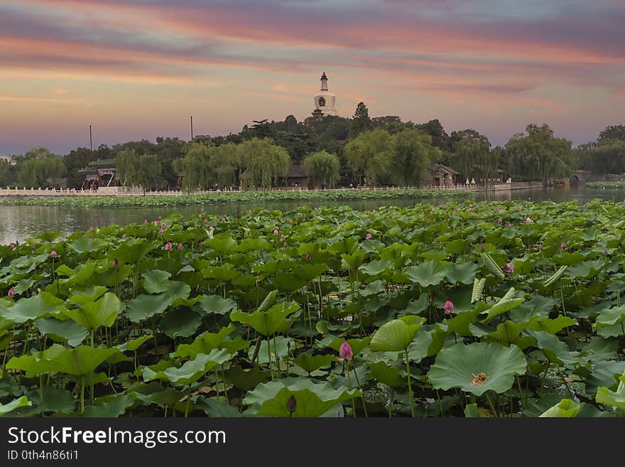 Beihai Park is an imperial garden to the north-west of the Forbidden City in Beijing