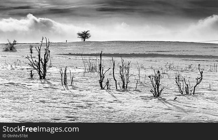 Winter landscape on a sunny day in the hills