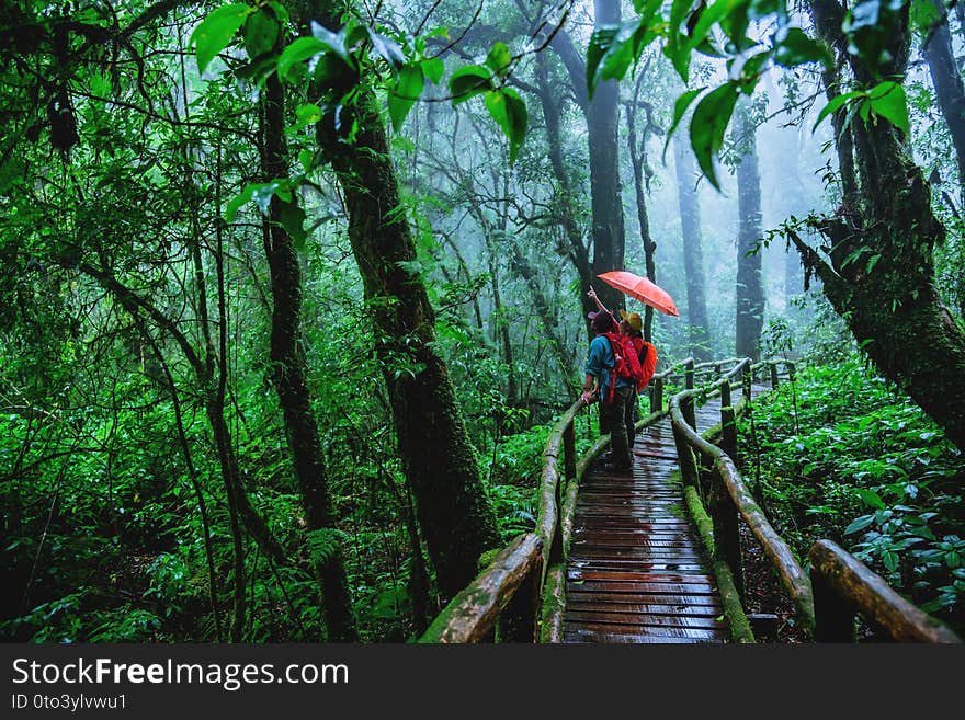 Lover asian men and asian women travel nature. Nature Study in the rain forest at Chiangmai in Thailand. summer