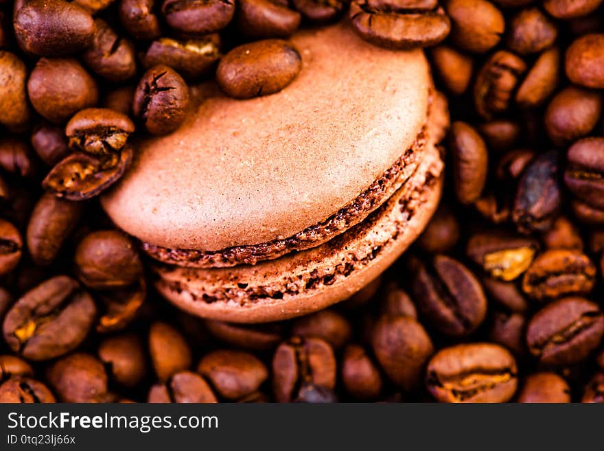 Cooffee Flavoured Macaroon. Close Up Studio Photo